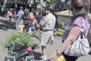 The annual Mother's Day Plant and Garden Fair, previously held in downtown Camas, will be found at a new location in 2011.  The outdoor event is scheduled for Saturday, May 7, at Camas High School. According to Joyce Lindsay, vice president of the Columbia Gorge Women's Association, the move was due in part to fees that could have been imposed by the city of Camas. Proceeds from the fair support CGWA scholarships provided to disenfranchised homemakers.