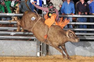 Cody Hudson of Camas placed sixth in the first round of the High School National Finals in Gillette, Wyo., recently. Hudson is seeking sponsorships from the community, so that he can continue bull riding after a series of economic hardships that hit his family.