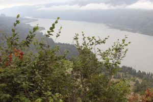 The view from the brand new Nancy Russell Overlook at Cape Horn. Friends of the Columbia Gorge generated more than $4 million to cover the costs of removing two homes and the construction of a circular, Americans with Disabilities Act accessible viewpoint.