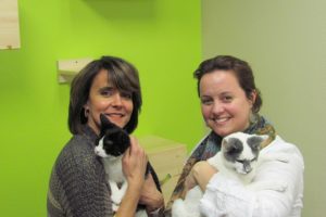 Jo Schmidt and Amber Groff interact with several West Columbia Gorge Humane Society cats available for adoption at The Cats Meow.  "My lifelong dream was to bring cat lovers together," Schmidt said. Grand opening festivities are set for Friday and Saturday.