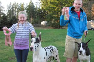 Corie and Cody Hebert show off the ribbons that they and their Great Danes, Matisse and Butler, won at the Rose City Classic dog show last month.