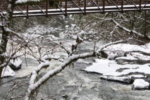 Thursday's snowfall added to the picturesque scene on Friday afternoon along the Lacamas Creek Trail in Camas. Another storm is expected to pass through the area on Friday night, and leave an additional 2 to 4 inches of snow.