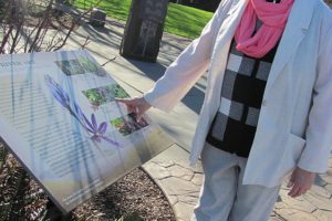 Virginia "Ginny" Frosh enjoys walking in the Chinook Plaza and throughout Parker's Landing Historical Park, in Washougal. She is an active volunteer.