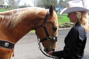 Amanda Knapp feeds grain to Carter. Knapp, 20, is the Miss Vancouver Rodeo Queen for 2014. The rodeo will be held July 2-5, at the Clark County Saddle Club. Before then, Knapp and Carter are participating in several parades.