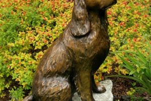 A 27-inch tall bronze sculpture of a springer spaniel will arrive in downtown Camas later this month. The public art project, funded by the Downtown Camas Association, will be unveiled April 30, during a reception for artist Georgia Gerber. It will be part of a bronze art tour that will be created during the next two years. The piece will be placed in front of the Liberty Theatre on Northeast Fourth Avenue. "Our intention is art appreciation, but also to be an interactive thing for families and to bring people to downtown," said DCA Executive Director Carrie Schulstad. "We wanted pieces kids could identify with, that they could sit on, and that they could hug on and love and take pictures with."