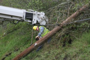 A crew member cuts down a damaged telephone pole at Milepost 21 on westbound State Route 14. A semi truck smacked into the pole and split it in two April 9, at 8:39 a.m.