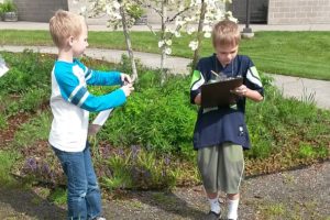 Second-grade students at Grass Valley Elementary participate in an insect inventory during Earth Day.