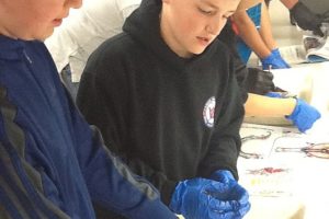 Skyridge Middle School students dissect salmon as part of a field trip at the Columbia River Fisheries Center in Vancouver.