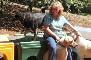 Janet Naylor, founder and owner of Woof and Tumble, loves her job so much that she sometimes has a hard time parting with her borders. She says she loves each dog to pieces, something that owners appreciate.