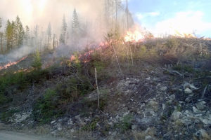 A wildfire was reported on Monday, approximately 7.5 miles past Dougan Falls in west Skamania County. As of Wednesday, it had burned 60 acres and is 20 percent contained. 