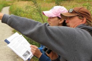 Teachers learn new things at an environmental teacher training at Steigerwald Lake National Wildlife Refuge in Washougal. Volunteers shared new techniques and information on how to use the local refuge to bolster educators' science  curriculum. Teachers participated in watching for and counting Purple Martins, a rare bird that nests there each summer.