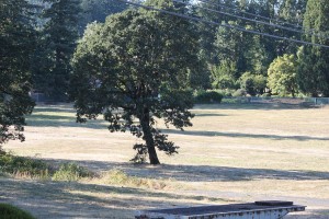 The City of Washougal is purchasing approximately 17 acres west of 32nd and Q streets, for development of future park land. The City Council approved the $599,000 purchase last night. George Schmid & Sons, Inc., offices and equipment used to be located at the site.