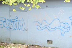 Two suspects have been arrested in connection with several acts of vandalism which took place during a 48-hour period last week, including Hathaway Park in Washougal. One of the suspects may have allegedly signed his first name on the building.