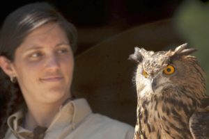 A Eurasian eagle owl gazes at the crowd during an Oregon Zoo birds of prey presentation. Lacamas Heights Elementary School students had the opportunity to see the show last week as a part of their all-school read program.