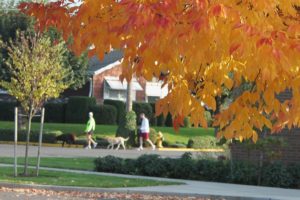 A perfect fall Sunday afternoon greeted these walkers, who took advantage of the beautiful weather to take their dogs on a stroll through the neighborhoods surrounding Doc Harris Stadium and Hayes Freedom High School.