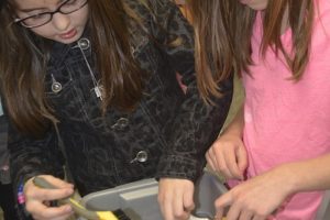 Cape Horn-Skye Elementary third-graders Megan West and Kylie Bowen wash a turn-of-the-century cup as they learn more about the role of archeologists.