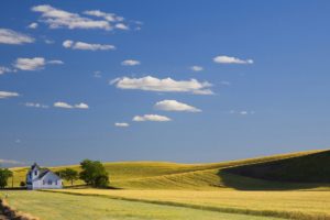 A church in the Palouse area of Eastern Washington sits among the endless wheat fields on a summer day.