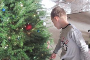 Jacob Bellamy, 4, helps decorate a tree put together by the Cape Horn-Skye preschool class.