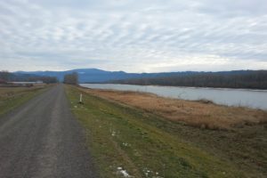 This photograph taken by Jay Elder shows the dike trail after the removal of trees and vegetation in the area of the dike near the Steigerwald Lake National Wildlife Refuge, in Washougal. The removal of trees and shrubs 15 feet from the toe of the Columbia River dike is required by the U.S. Army Corps of Engineers, to maintain the integrity of the dike. Elder is seeking volunteers to flag trees with the hope they will not be removed between the dike and the river.