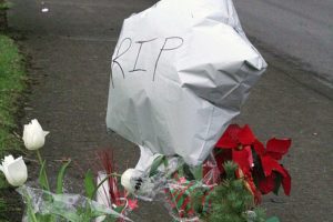 A memorial of flowers, candles, balloons and other tributes to Anneice Fich has grown during the past week at Northeast Third Avenue and Weir Street in Camas. Nearby on Dec. 23, Fich was pushing a stroller that held her great-grandson, Eduardo Herrera-Berra, 2, while crossing the street when she was hit by a vehicle. Fich, 66, died at the scene, while Herrera-Berra was hospitalized for injuries including broken ribs, a punctured lung and a fractured leg. He was released Dec. 26.