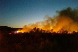 A fire in the vicinity of the Steigerwald National Wildlife Refuge consumed more than 40 acres Friday night. The cause of the fire was a discarded cigarette butt. Firefighters from several departments were dispatched at 4:58 p.m.