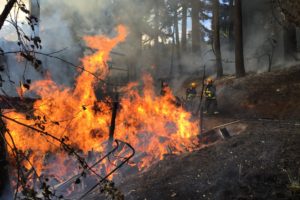 A fire broke out Sunday afternoon at a house located at 20709 S.E. Evergreen Highway in Camas. The two-story structure was destroyed, but there were no injuries. The cause is being investigated. (Photo courtesy of the Camas-Washougal Fire Department)