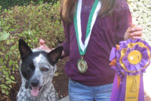 Taylor Rhodig of Washougal and her dog, Colby, recently took first-place in the junior showmanship category at the Washington State Fair. They belong to the Mutts and Masters 4-H Club, comprised of East Clark County residents. 