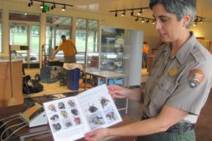 Curator Theresa Langford shows a brochure from artist Lillian Pitt, who will be featured at the vistor center. Different artists' work will rotate through the new center, which opened to the public Saturday. 