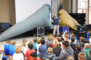 Remillard compares a life-sized inflatable replica of a Northern elephant seal and a Stellar sea lion to students at Dorothy Fox Elementary.