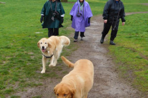 Friendships have been strengthened during daily walks by Krista Daniel, Gayle Matthews and Tami Bridge, at the Donald and Angeline Stevenson Off Leash Area, in Washougal. The dog park, which opened Nov. 7, 2009, will close Nov. 1. The land, zoned Town Center East Village, is available to lease or purchase.