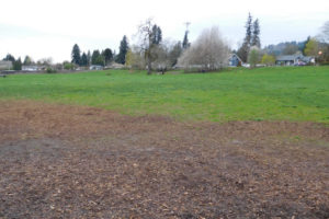 Land owned by East Village Investors LLC, including the Donald and Angeline Stevenson Off Leash Area, located near Bi-Mart, at 3003 Addy St. Washougal, is being marketed for sale or lease. A proposed Town Center Core and East Village district is envisioned to have a mixture of higher density housing and retail contained within low-rise buildings. The Washougal City Council is considering a property tax exemption program for developers of mixed use, multi-family residential housing.