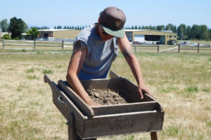 A student sifts through dirt to uncover potential artifacts from the Spruce Mill site at Fort Vancouver. 