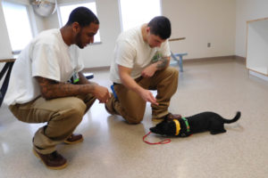 Darion Chambers (left) and Christopher Baker (right), residents at Larch Corrections Center, have been teaching Rickey, a 3-year-old chihuahua-terrier mix, various commands such as sit and stay. "We create bonds with them," Baker said. He would consider becoming a dog trainer after he is released from Larch. 