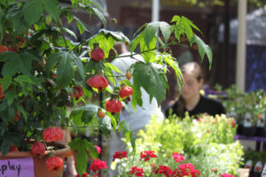 Attendees at the Plant & Garden Fair will have more than 100 different vendor locations to browse, which all offer locally made and grown products.