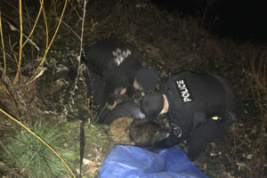 Washougal Police Sergeant Kyle Day (left) and Officer Chris Calcagno (right) use a tarp to rescue Whisky, a 10-year-old Leonberger, from a steep bank in Washougal Waterfront Park, on Feb. 15. Whisky's owner, Don James, of Washougal, said he was very grateful for the officers'  help and empathy. (Contributed photo courtesy of Washougal Police Department)