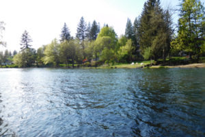 The view from across lower Hathaway Park shows residential areas that could qualify for a streamside enhancement program. Tom Dwyer, program coordinator of the Vancouver Watersheds Alliance (not pictured) said increasing the amount of native plantings and rain gardens will reduce the amount of pollutants that get into the Washougal River. 