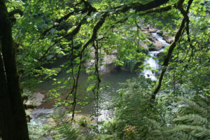 With its shallow waters and slippery, unofficial trails, the popular Camas “potholes” area (above) is often the site of injuries and fatalities.