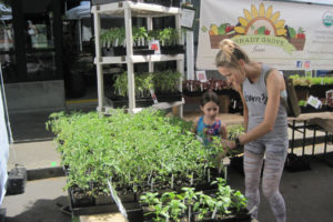 Potential customers browse through the offerings of Camas-based Shady Grove Farm on Saturday during the Camas Plant and Garden Fair in downtown Camas. The annual event featured a selection of plants, trees, garden art, supplies and more provided by a variety of local growers and vendors. Kids' activities, raffle prizes and live music were also offered. 