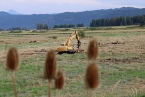 Construction crews work at the Steigerwald wildlife refuge.