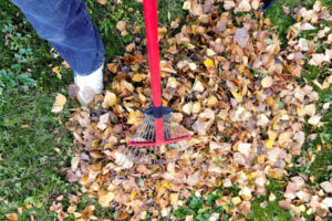 Coupons for leaf disposal are now available for Vancouver and Clark County residents. (Contributed photo courtesy of Clark County)