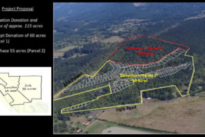 An illustration shows the Green Mountain land parcels included the land purchase and donation plan recently approved by Camas city councilors. The city has received 60 acres (outlined in yellow) as a donation and will purchase 55 acres for $3.8 million (outlined in red) in October. (Contributed illustration courtesy of city of Camas)  