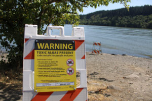 A warning sign posted near Lacamas Lake in 2020 warns of a toxic blue-green algae bloom. (Photo by Kelly Moyer/Post-Record files) 