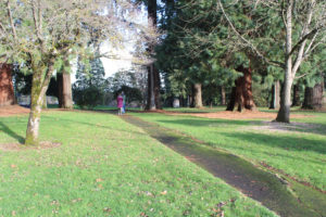 Visitors walk through Camas' Crown Park on Dec. 23, 2021. The city of Camas' Parks and Recreation Department will host an open house to discuss the implementation of a master plan that calls for several improvements to the historic Crown Park at 5 p.m. Tuesday, May 17, 2022. (Kelly Moyer/Post-Record files)