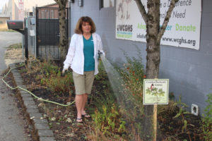 Washougal resident Margaret Gossage waters a native pollinator garden in front of the West Columbia Gorge Humane Society animal shelter in Washougal, on Sunday, Sept. 11, 2022. (Photos by Doug Flanagan/Post-Record)