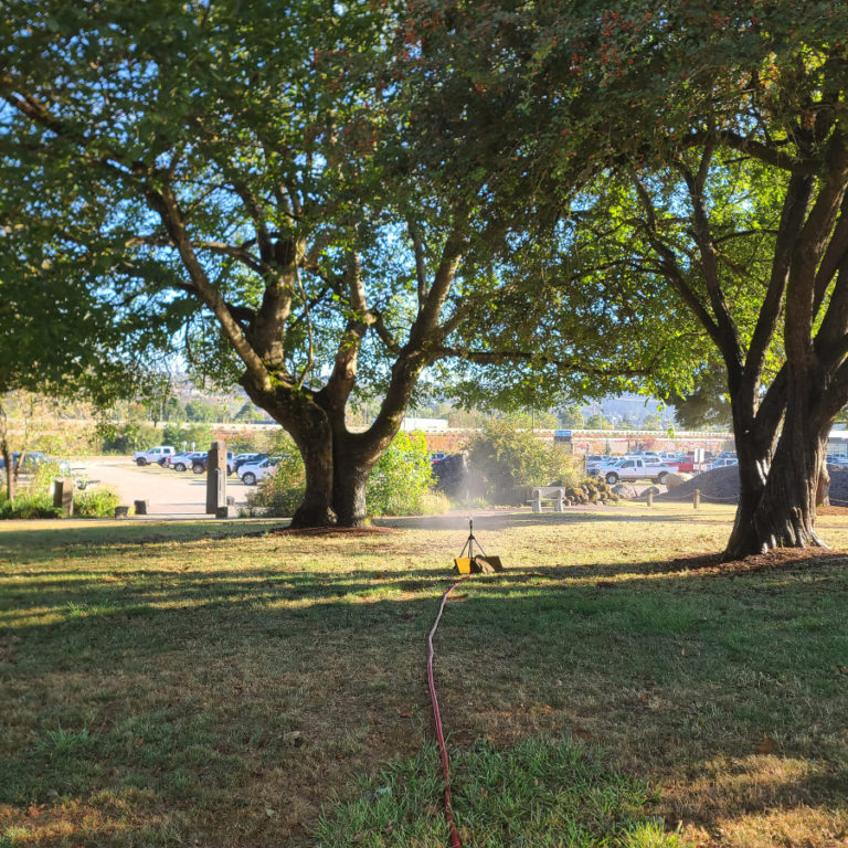 Above: Trees at Parker&#039;s Landing Historical Park are watered earlier this year.