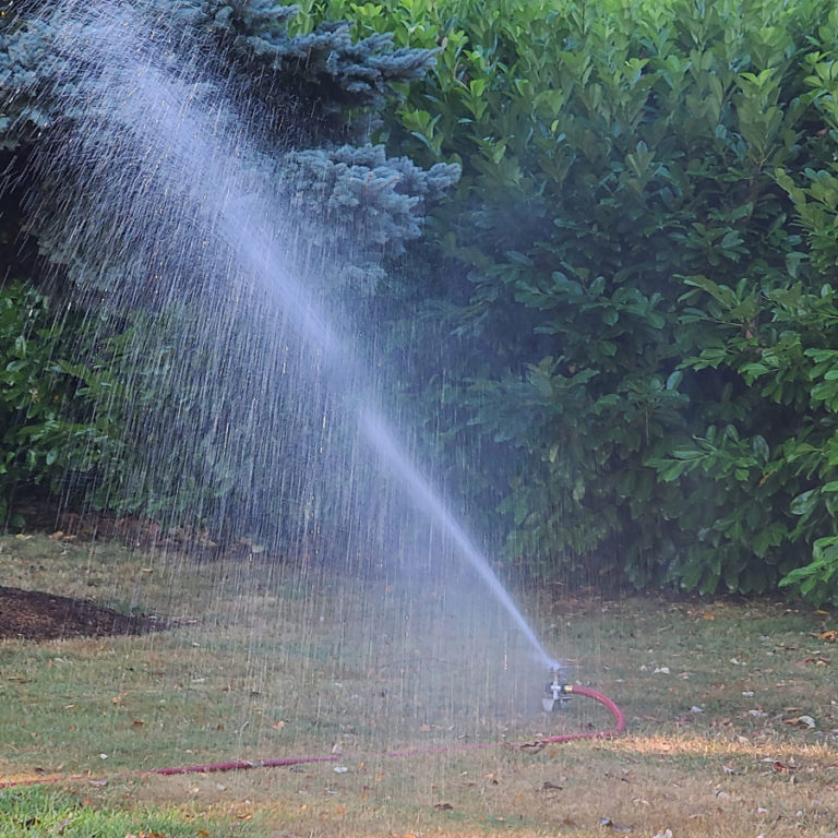 Contributed photo courtesy Parkersville Heritage Foundation
Trees at Parker&#039;s Landing Historical Park are watered earlier this year.  Parkersville National Historic Site Advisory Committee members started a watering program after learning that the park&#039;s historical trees are being threatened by the hot temperatures of the past several years.