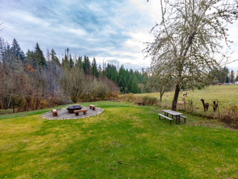 Contributed photo courtesy Erika Leavitt 
 The Little Creek Cottage in Washougal includes an outdoor fire pit (left) and access the owners' alpaca farm (right).