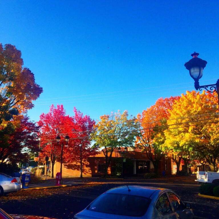 As they craft the Camas Parks and Open Space Management Plan, Camas city leaders are rethinking how they view nature, including the City’s nearly 3,400 acres of urban tree canopy. Here, deciduous trees show off their autumn colors in downtown Camas in October 2017.