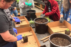 Washougal High students Nicholas Maloney (left) and Jason Meulton prepare seed starts at Hayes Family Growers in Vancouver in 2023. (Contributed photo courtesy of the Washougal School District)
