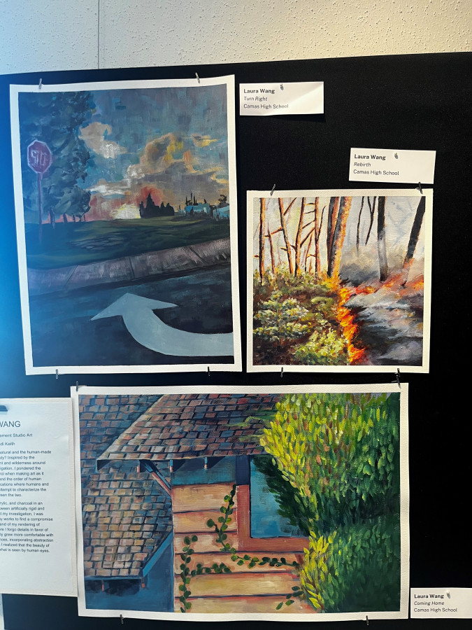 Artwork by Camas High School student Laura Wang is displayed inside the Camas Public Library's Second Story Gallery, Tuesday, July 2, 2024.